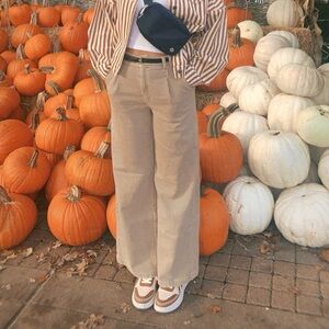 AE Dreamy Drape Stretch Poppy Trouser